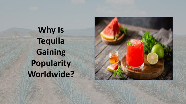 why is tequila gaining popularity worldwide