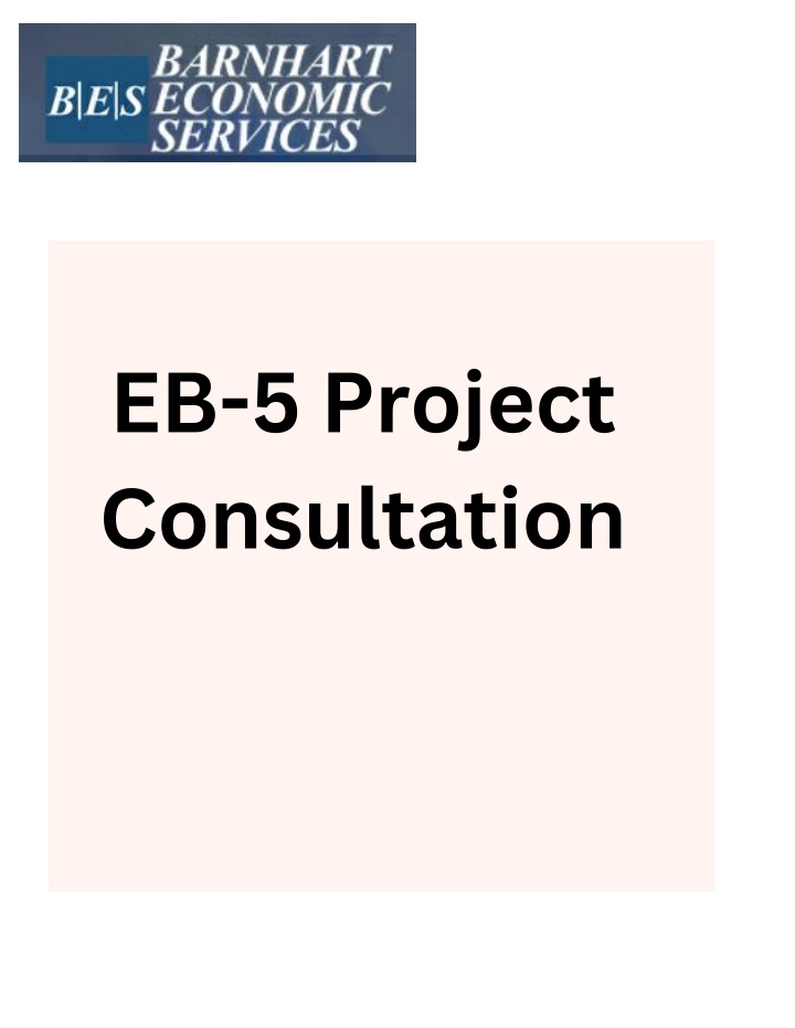 eb 5 project consultation