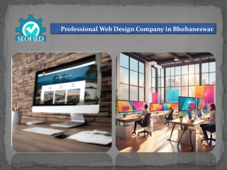 Professional Web Design Company in Bhubaneswar