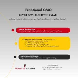 Role Of Fractional CMO In Managing Marketing Technology