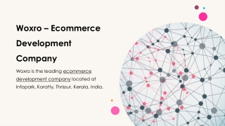 woxro ecommerce development company