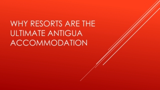 Why Resorts are the Ultimate Antigua Accommodation