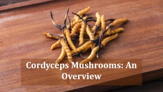 Cordyceps Mushrooms: An Overview