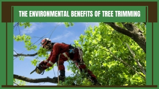 the environmental benefits of tree trimming