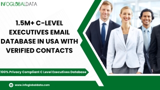 1 5m c level executives email database