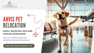 Global Pet Transport Services - Safe & Reliable Relocation