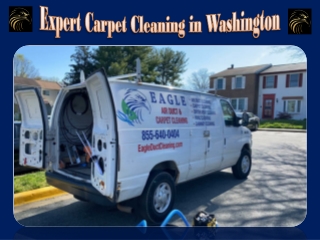 Expert Carpet Cleaning in Washington