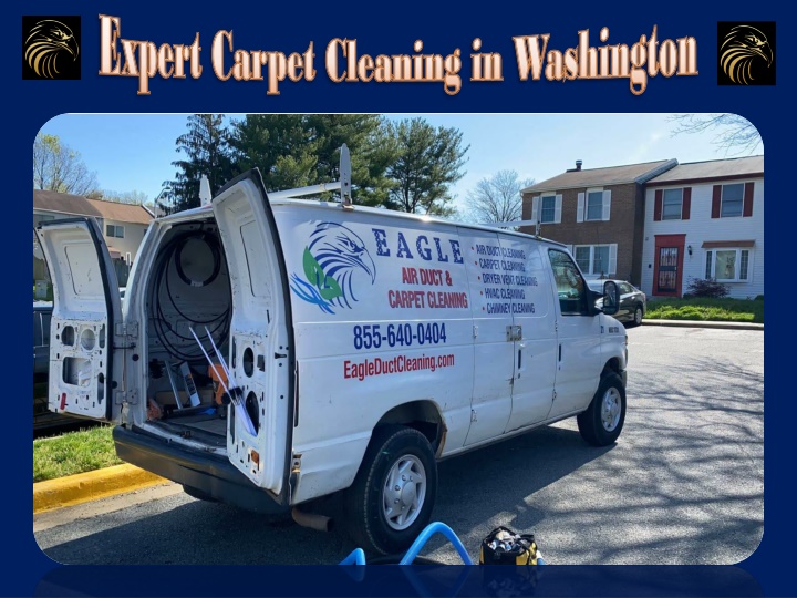 expert carpet cleaning in washington