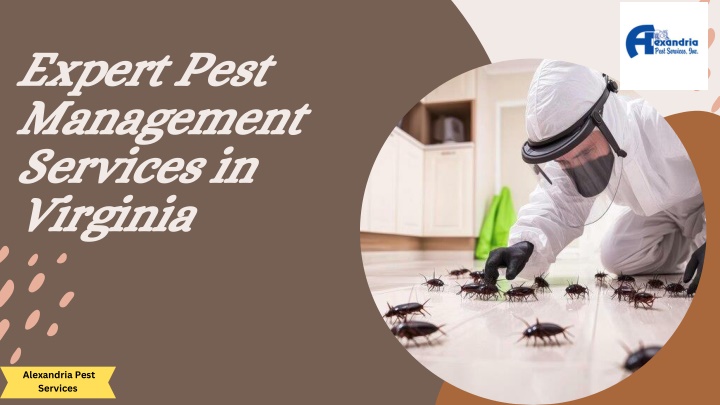 alexandria pest services