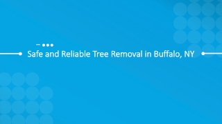 Safe and Reliable Tree Removal in Buffalo, NY