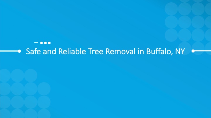 safe and reliable tree removal in buffalo ny safe