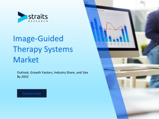 Image-Guided Therapy Systems Market
