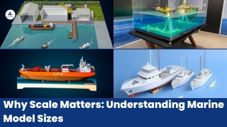 Why Scale Matters Understanding Marine Model Sizes