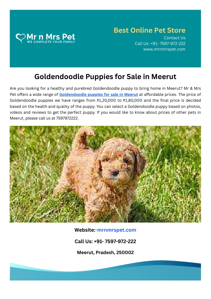 best online pet store