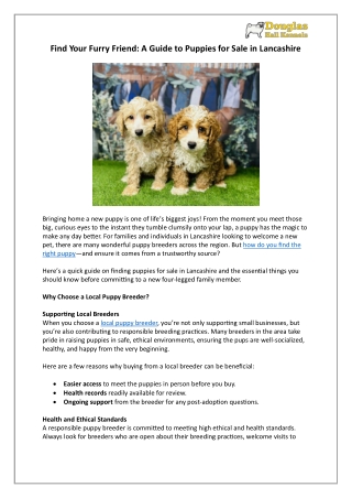 Dogs for Sale in Lancashire | Your New Best Friend Awaits | DHK