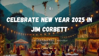 Celebrate New Year 2025 in Jim Corbett | Book CYJ