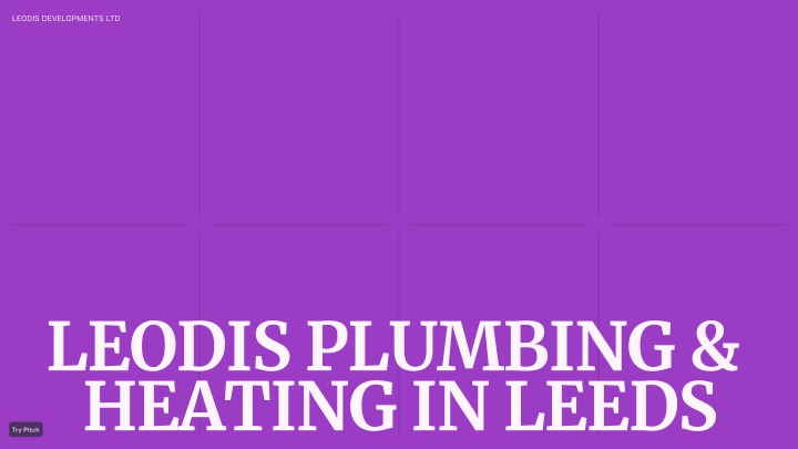 leodis developments ltd