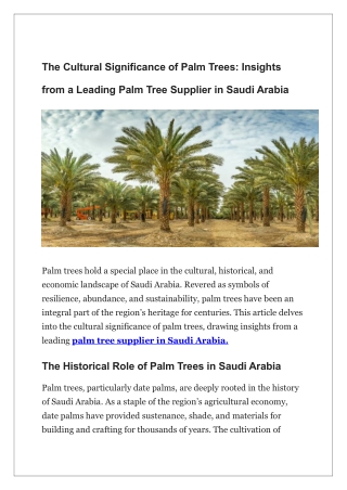 The Cultural Significance of Palm Trees-Insights from a Leading Palm Tree Supplier in Saudi Arabia