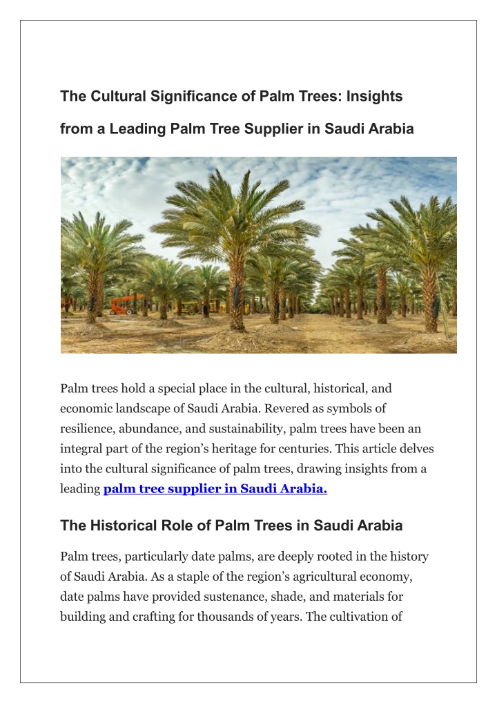 the cultural significance of palm trees insights