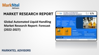market research report