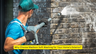 Why Choose Madison Soft Washing for Your Home’s Exterior