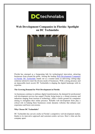 Top Web Development Companies in Florida - DC Technolabs