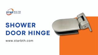 Shower door hinge