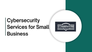 Expert Cybersecurity Services for Small Business Owners