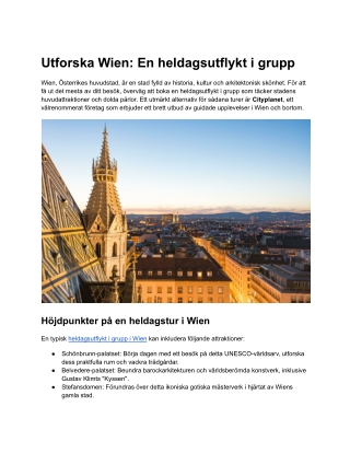 utforska wien en heldagsutflykt i grupp