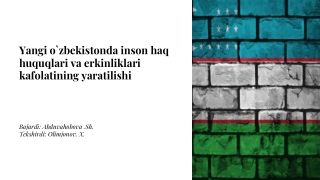 yangi o zbekistonda inson haq huquqlari