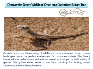 Discover the Desert Wildlife of Oman on a Customized Nature Tour