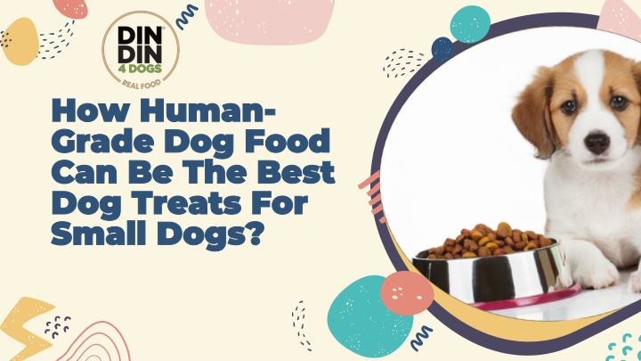 how human grade dog food can be the best dog treats for small dogs