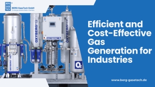 Connect with Us for Custom Gas Generation Systems