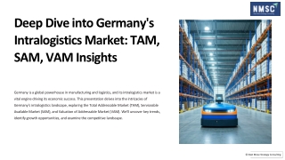 Deep Dive into Germany's Intralogistics Market TAM, SAM, VAM Insights