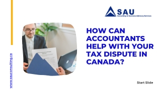 How Can Accountants Help with Your Tax Dispute in Canada?