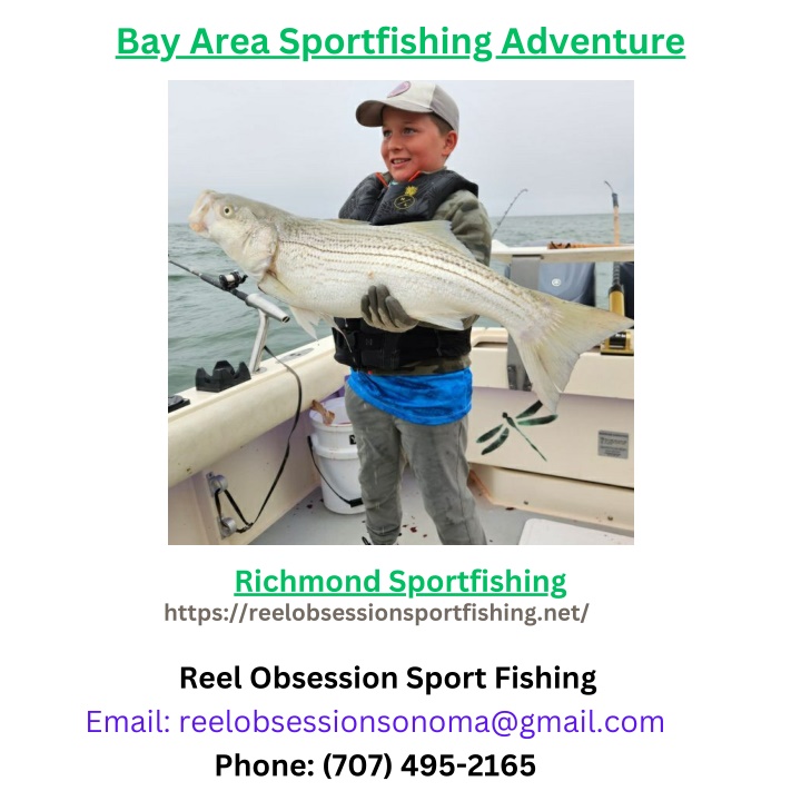 bay area sportfishing adventure