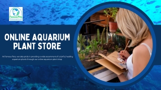 Discover the Best Online Aquarium Plant Store – Famous Pets.