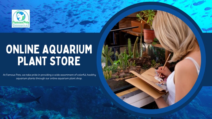 online aquarium plant store