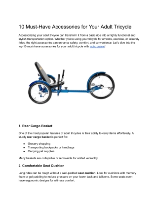 10 Must-Have Accessories for Your Adult Tricycle (1)