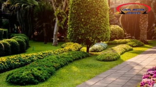 Commercial Landscaping Denver