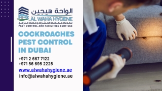 Cockroaches Pest Control in Dubai