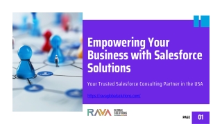 Leading Salesforce Consulting Partner USA –Rava Global Solutions