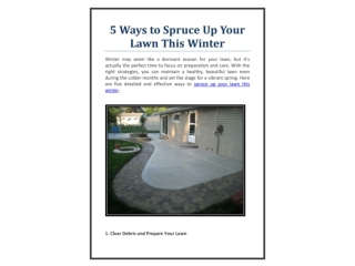 5 Ways to Spruce Up Your Lawn This Winter