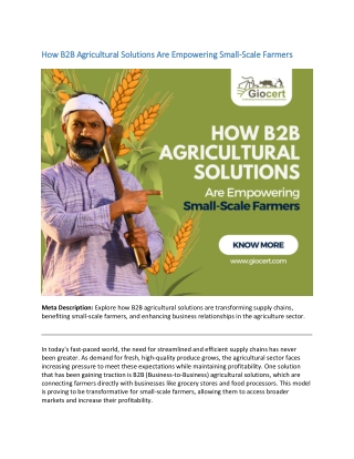 How B2B Agricultural Solutions Are Empowering Small-Scale Farmers (1)