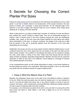 5 Secrets to Choosing the Perfect Planter Pot Size for Your Plants