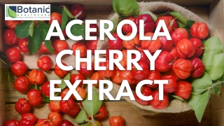 Acerola extract Vitamin C & Acerola cherry extract