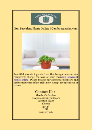 Buy Succulent Plants Online | Gamboasgarden.com