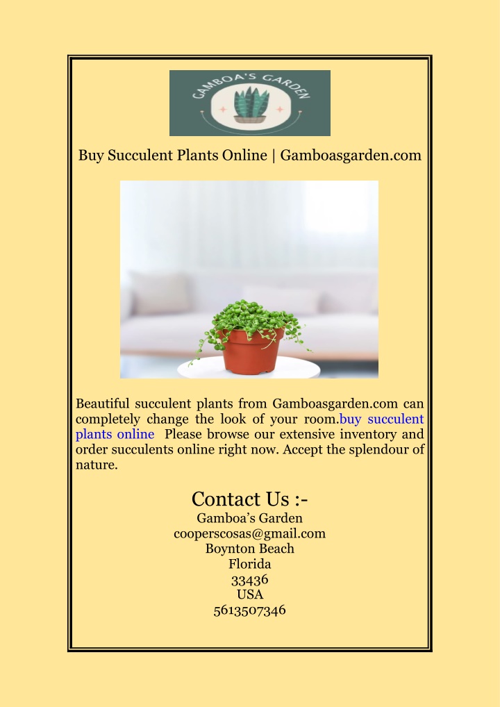 buy succulent plants online gamboasgarden com