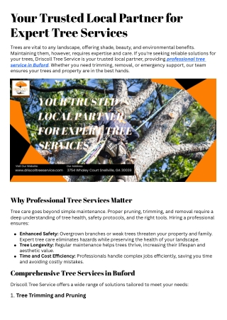 Your Trusted Local Partner for Expert Tree Services