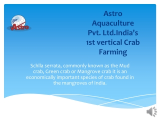 astro aquaculture pvt ltd india s 1st vertical crab farming